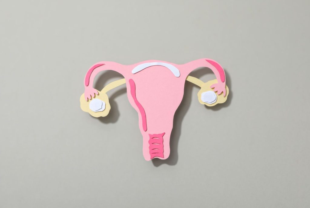 Illustration of the uterus and ovaries representing hormone imbalance and fertility women over 35