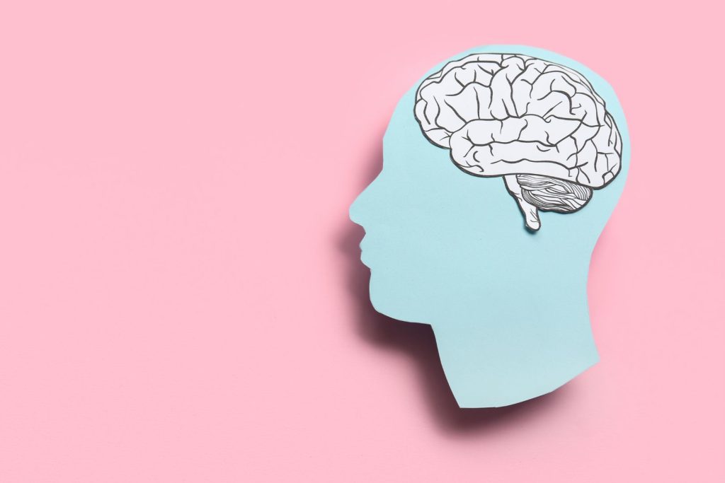 Brain illustration showing menopause brain fog caused by hormone changes