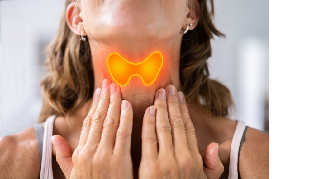 Illustration of thyroid gland in woman showing thyroid hormone imbalance linked to hair loss in women